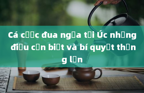 Cá cược đua ngựa tại Úc những điều cần biết và bí quyết thắng lớn