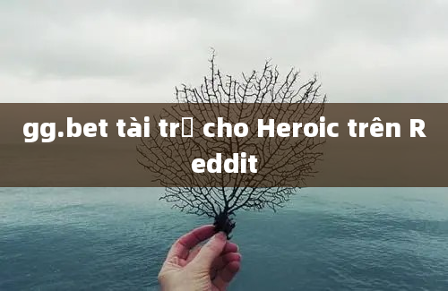 gg.bet tài trợ cho Heroic trên Reddit