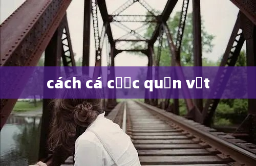 cách cá cược quần vợt