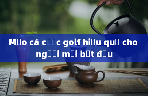 Mẹo cá cược golf hiệu quả cho người mới bắt đầu