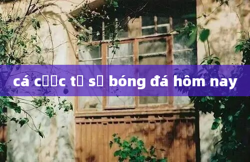 cá cược tỷ số bóng đá hôm nay