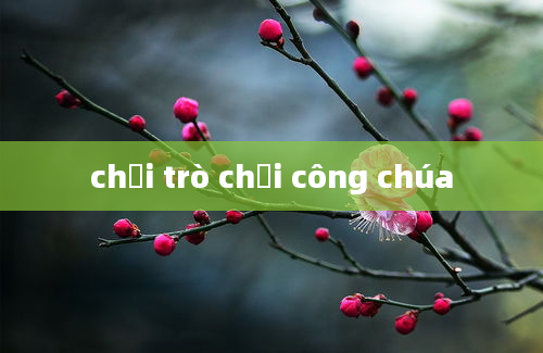 chơi trò chơi công chúa