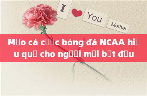 Mẹo cá cược bóng đá NCAA hiệu quả cho người mới bắt đầu