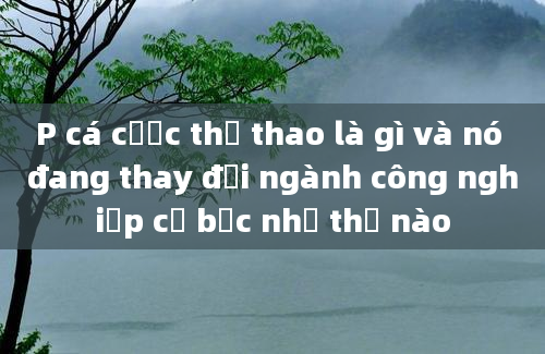 P cá cược thể thao là gì và nó đang thay đổi ngành công nghiệp cờ bạc như thế nào