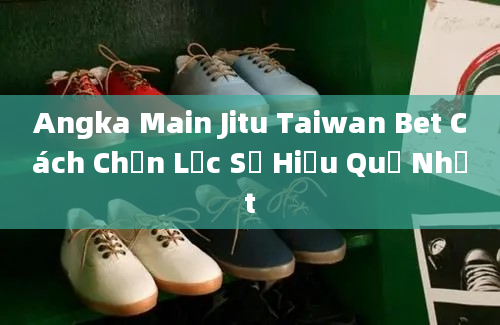 Angka Main Jitu Taiwan Bet Cách Chọn Lọc Số Hiệu Quả Nhất