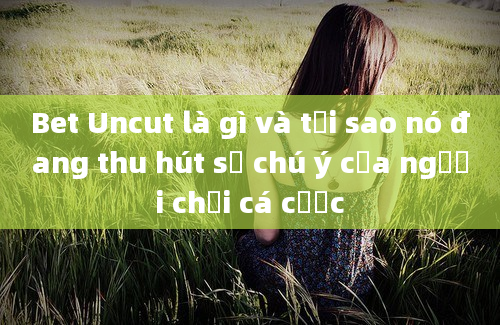 Bet Uncut là gì và tại sao nó đang thu hút sự chú ý của người chơi cá cược