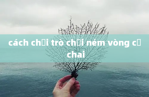 cách chơi trò chơi ném vòng cổ chai