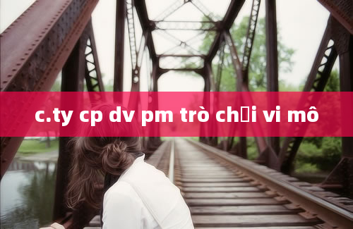 c.ty cp dv pm trò chơi vi mô