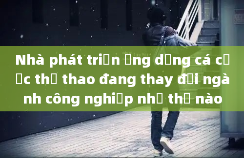 Nhà phát triển ứng dụng cá cược thể thao đang thay đổi ngành công nghiệp như thế nào