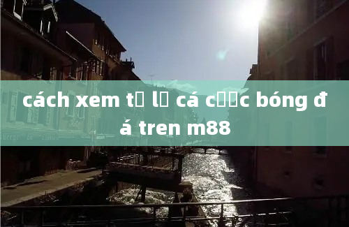 cách xem tỷ lệ cá cược bóng đá tren m88