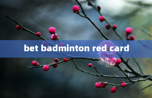 bet badminton red card