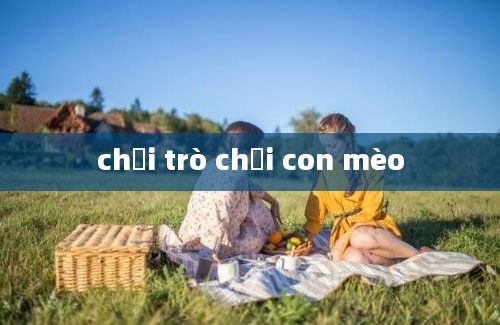 chơi trò chơi con mèo