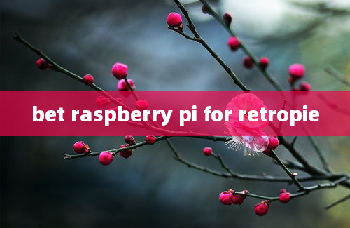 bet raspberry pi for retropie