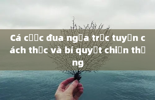 Cá cược đua ngựa trực tuyến cách thức và bí quyết chiến thắng