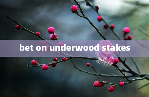 bet on underwood stakes