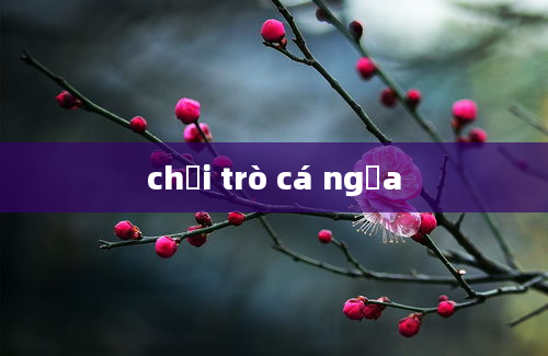 chơi trò cá ngựa