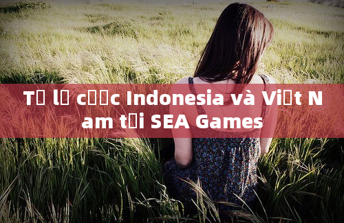 Tỷ lệ cược Indonesia và Việt Nam tại SEA Games