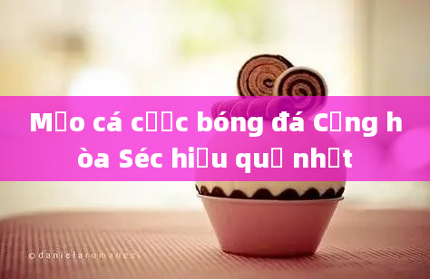 Mẹo cá cược bóng đá Cộng hòa Séc hiệu quả nhất