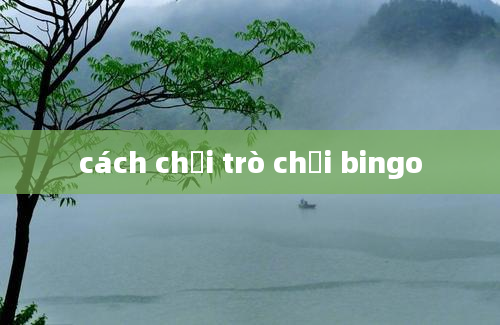 cách chơi trò chơi bingo