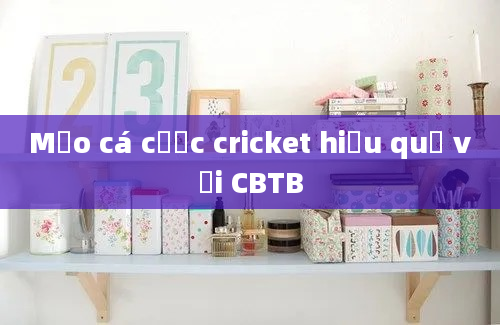 Mẹo cá cược cricket hiệu quả với CBTB