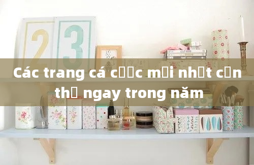 Các trang cá cược mới nhất cần thử ngay trong năm