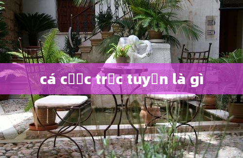 cá cược trực tuyến là gì