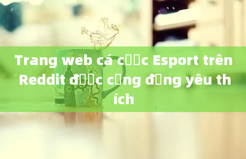 Trang web cá cược Esport trên Reddit được cộng đồng yêu thích