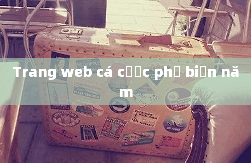 Trang web cá cược phổ biến năm