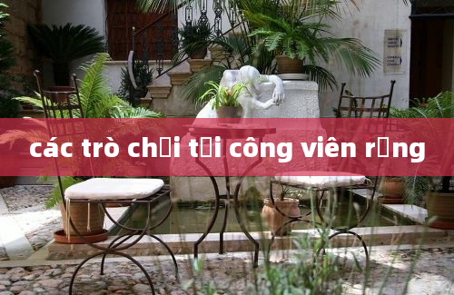 các trò chơi tại công viên rồng