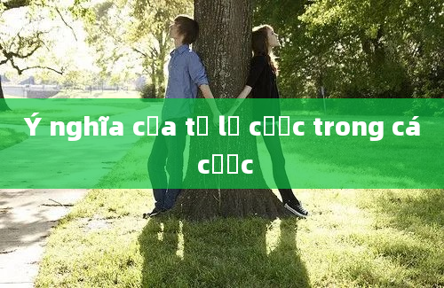 Ý nghĩa của tỷ lệ cược trong cá cược