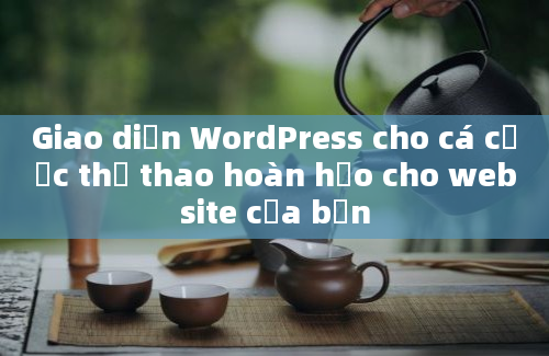 Giao diện WordPress cho cá cược thể thao hoàn hảo cho website của bạn