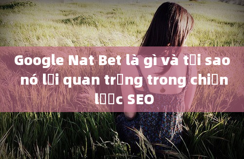 Google Nat Bet là gì và tại sao nó lại quan trọng trong chiến lược SEO