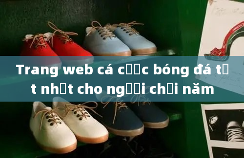 Trang web cá cược bóng đá tốt nhất cho người chơi năm