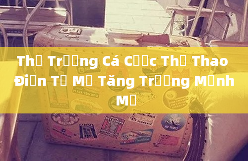 Thị Trường Cá Cược Thể Thao Điện Tử Mỹ Tăng Trưởng Mạnh Mẽ