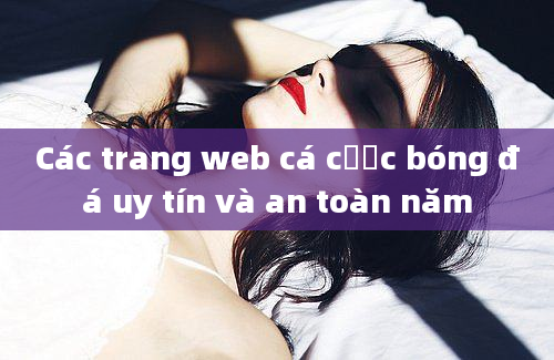 Các trang web cá cược bóng đá uy tín và an toàn năm