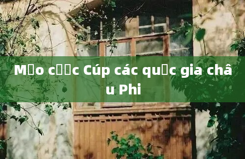 Mẹo cược Cúp các quốc gia châu Phi