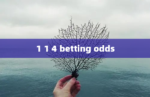 1 1 4 betting odds