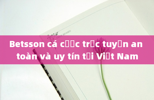 Betsson cá cược trực tuyến an toàn và uy tín tại Việt Nam