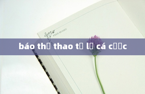 báo thể thao tỷ lệ cá cược