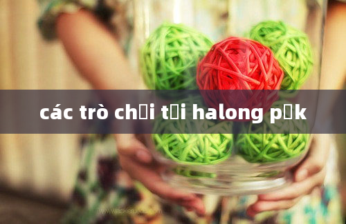 các trò chơi tại halong pảk