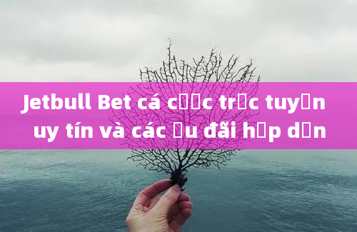 Jetbull Bet cá cược trực tuyến uy tín và các ưu đãi hấp dẫn