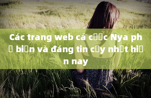 Các trang web cá cược Nya phổ biến và đáng tin cậy nhất hiện nay