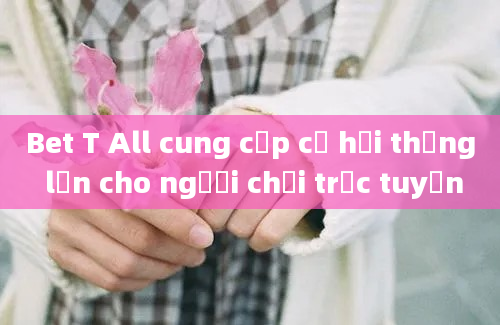 Bet T All cung cấp cơ hội thắng lớn cho người chơi trực tuyến