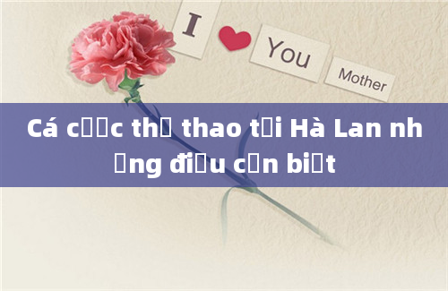 Cá cược thể thao tại Hà Lan những điều cần biết