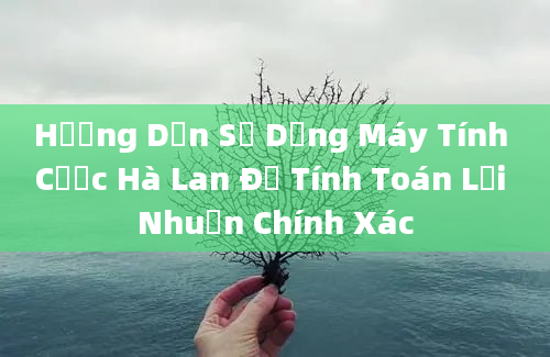 Hướng Dẫn Sử Dụng Máy Tính Cược Hà Lan Để Tính Toán Lợi Nhuận Chính Xác