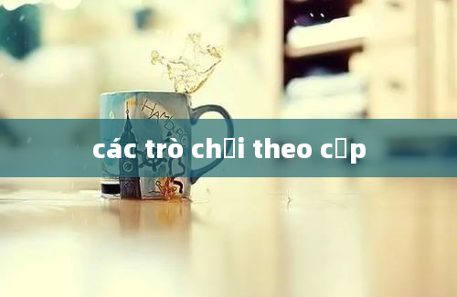 các trò chơi theo cặp