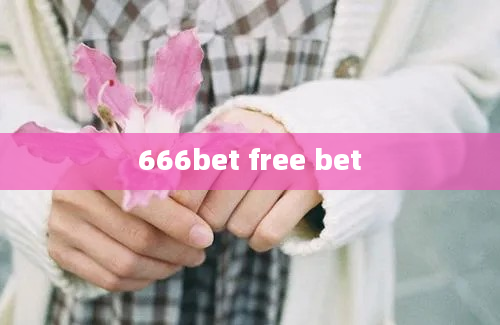 666bet free bet