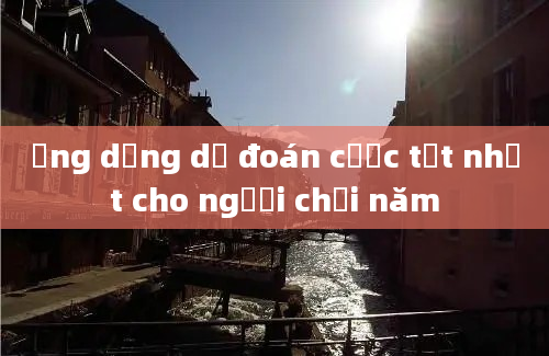 Ứng dụng dự đoán cược tốt nhất cho người chơi năm