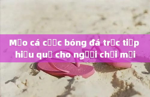 Mẹo cá cược bóng đá trực tiếp hiệu quả cho người chơi mới