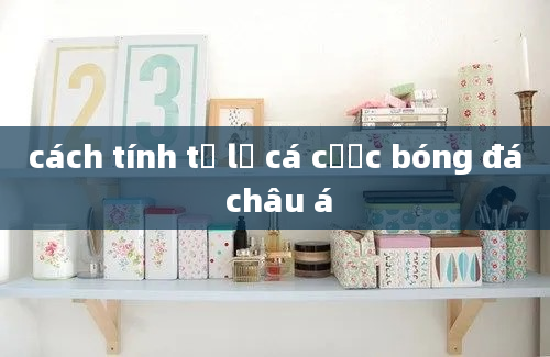 cách tính tỷ lệ cá cược bóng đá châu á